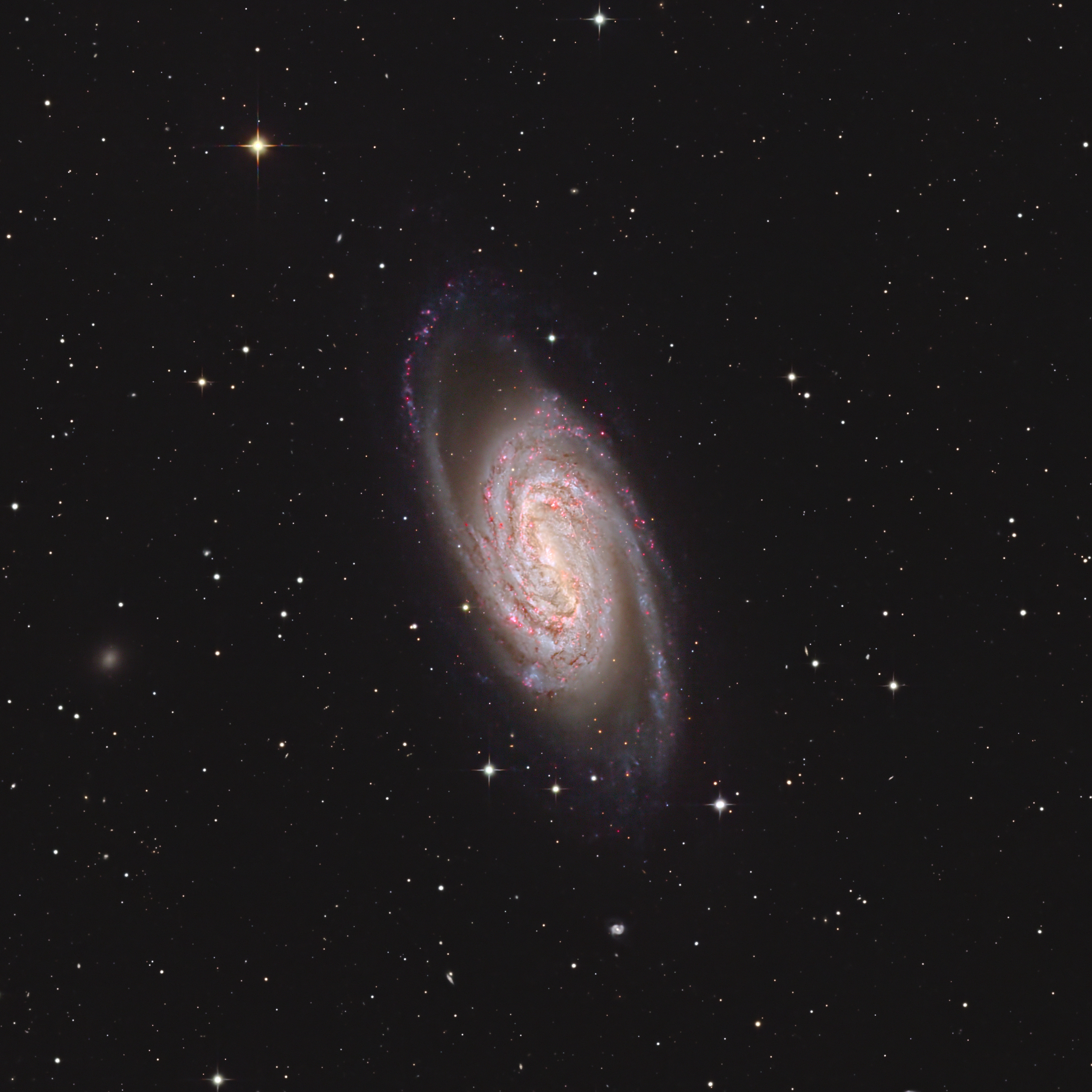 Galaxie NGC-2903